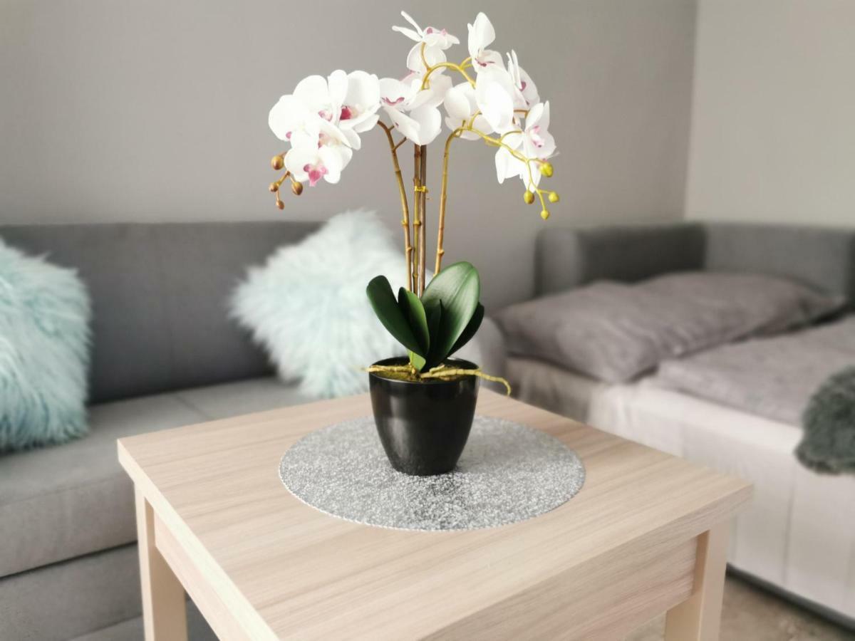 Apartament Górska 8 - blisko centrum Świeradów-Zdrój Exteriör bild
